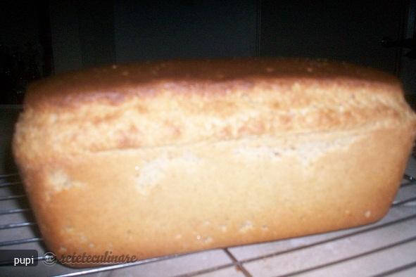 Paine fara Gluten