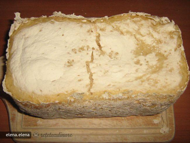 Paine fara Gluten