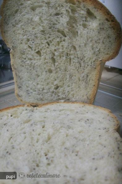 Paine fara Gluten