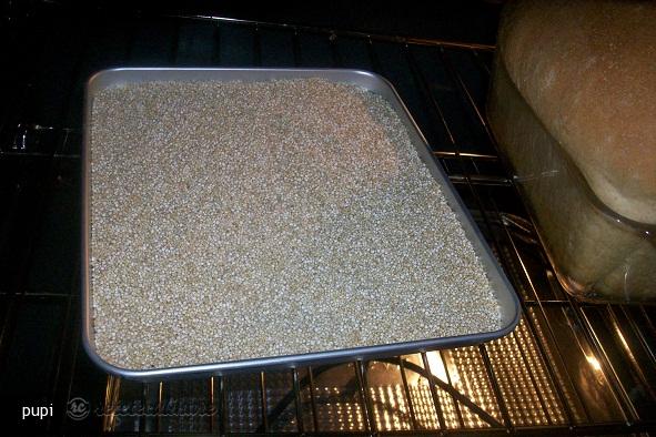 Faina de Quinoa - Preparata in Casa