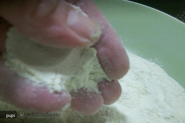 Faina de Quinoa - Preparata in Casa