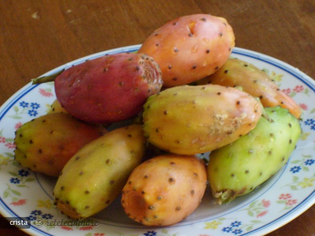 Jeleu/peltea/dulceata de Opuntia Ficus-indica
