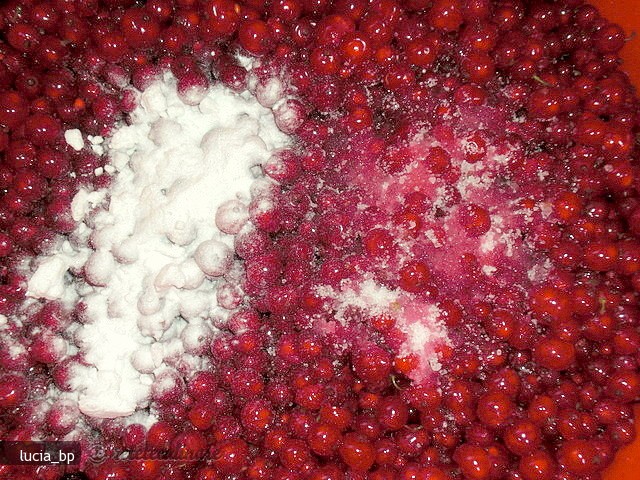 Fructe de Coacaze Rosii pentru Iarna