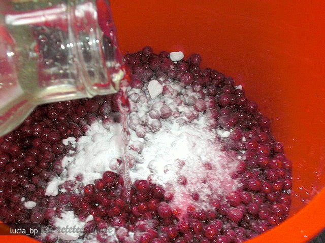 Fructe de Coacaze Rosii pentru Iarna