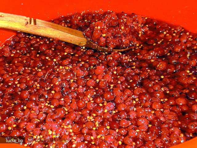 Fructe de Coacaze Rosii pentru Iarna