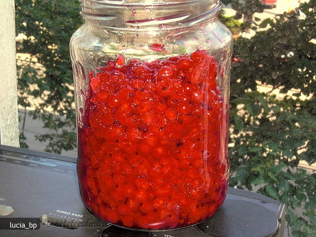 Fructe de Coacaze Rosii pentru Iarna