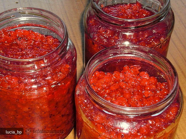 Fructe de Coacaze Rosii pentru Iarna