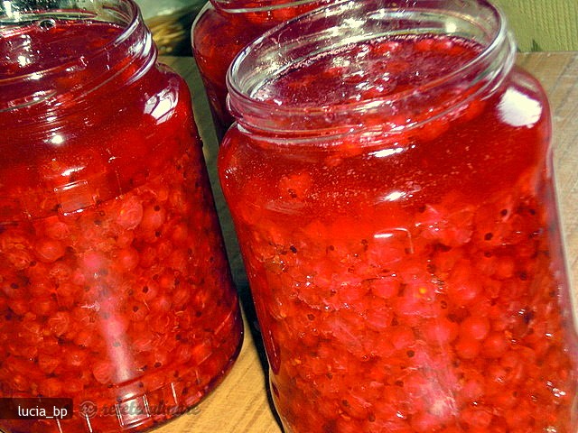 Fructe de Coacaze Rosii pentru Iarna
