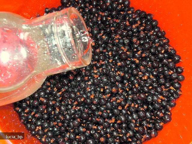 Coacaze Negre Conservate in Sirop