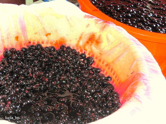 Coacaze Negre Conservate in Sirop