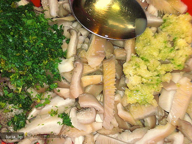 Mancare cu Ciuperci Pleurotus