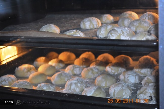 Ghoriba