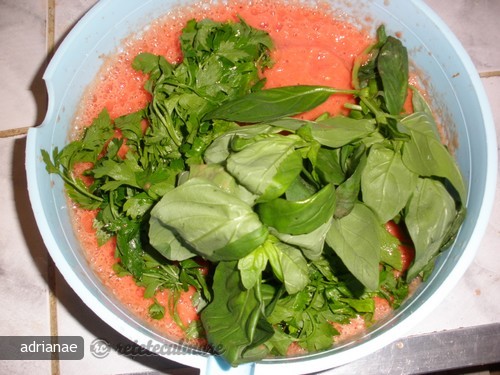Gazpacho