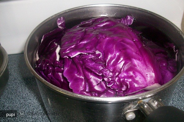 Coloranti Naturali Pentru Ouale de Paste
