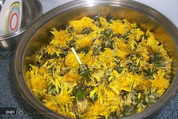 Sirop din Flori de Papadie