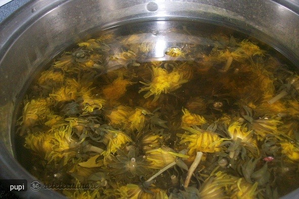 Sirop din Flori de Papadie