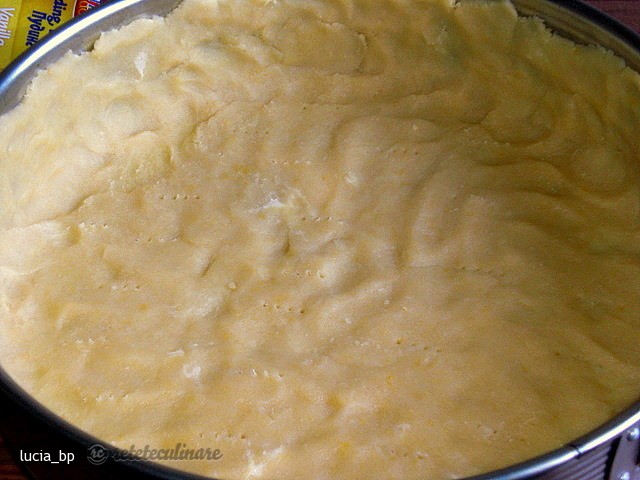 Tarta cu Branza de Vaci si Piersici sau Caise