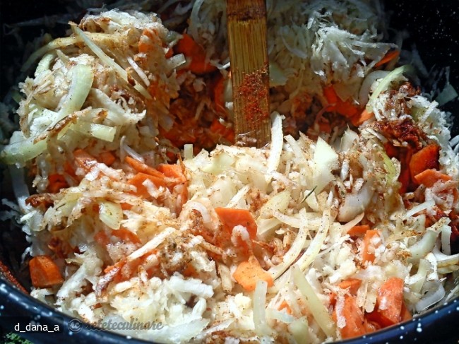 Tocanita de Legume