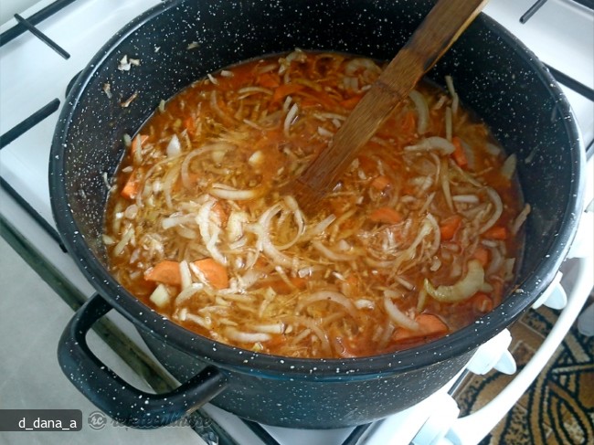 Tocanita de Legume