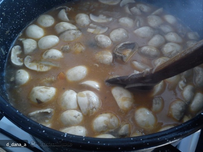 Tocanita de Legume