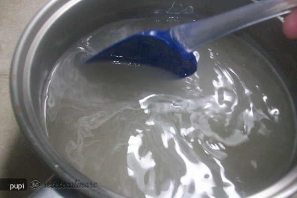 Sirop Concentrat din Flori de Salcam