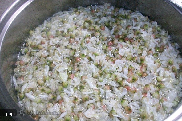 Sirop Concentrat din Flori de Salcam