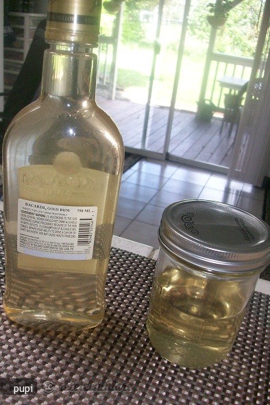Sirop Concentrat din Flori de Salcam