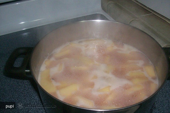Peltea (jeleu) din Flori de Salcam