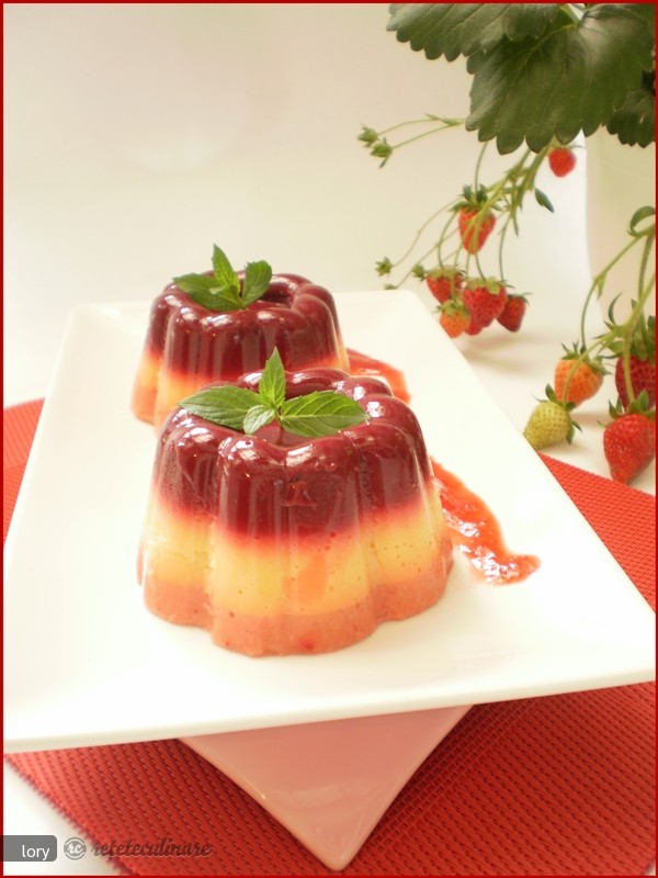 Terina de Fructe