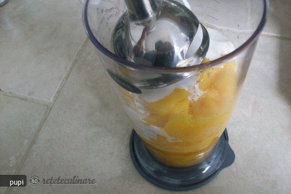 Inghetata de Mango