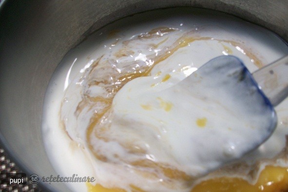 Inghetata de Mango