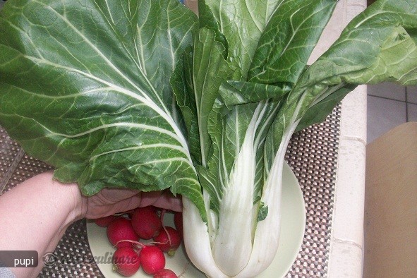 Bok Choy cu Ridichi