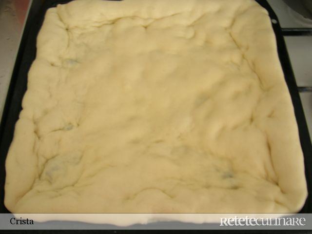 Pizza cu Mozzarella, Rosii (suc), Ciuperci si Busuioc