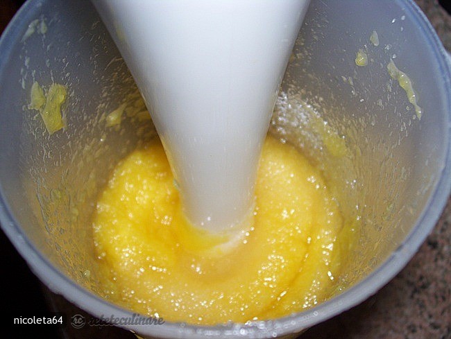 Mousse de Mango cu Iaurt Grecesc