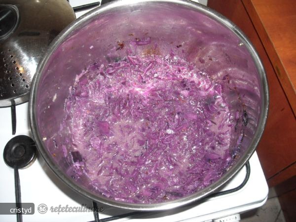 Carne cu Varza si Knedla (mancare Slovaca)
