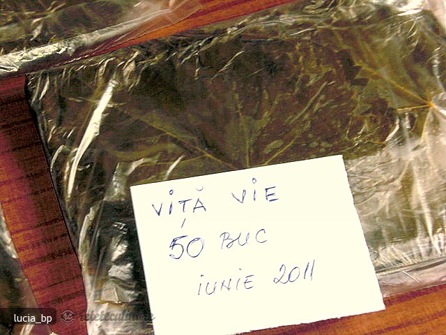 Frunze de Vita de Vie Conservate pentru Iarna