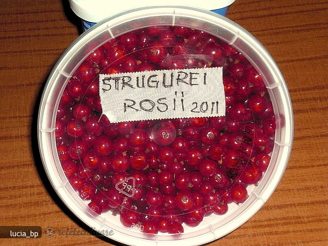 Strugurei Rosii (coacaze) la Congelator