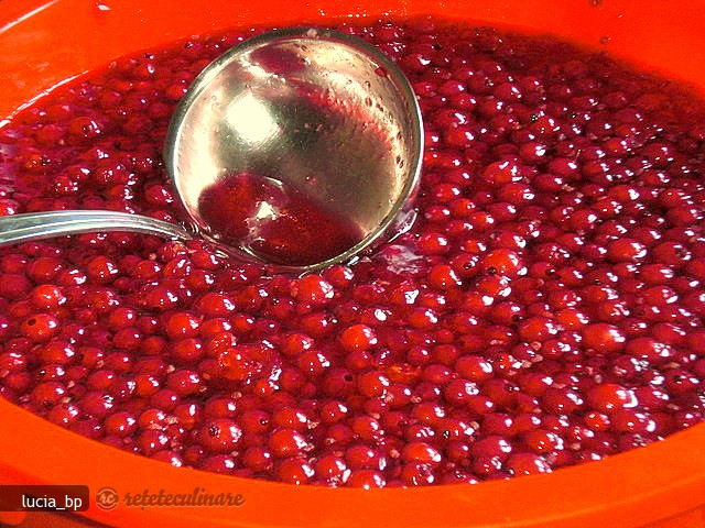 Sirop Natural de Coacaze Rosii