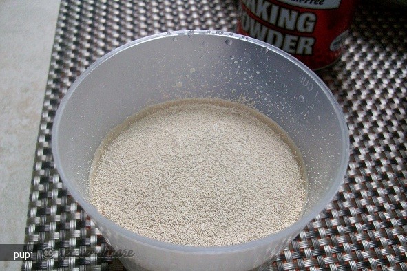 Paine fara Gluten II