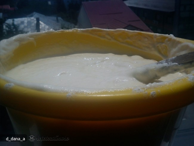 Tort cu Crema de Praf de Inghetata