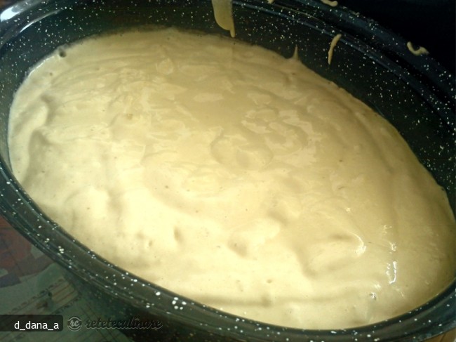 Tort cu Crema de Praf de Inghetata