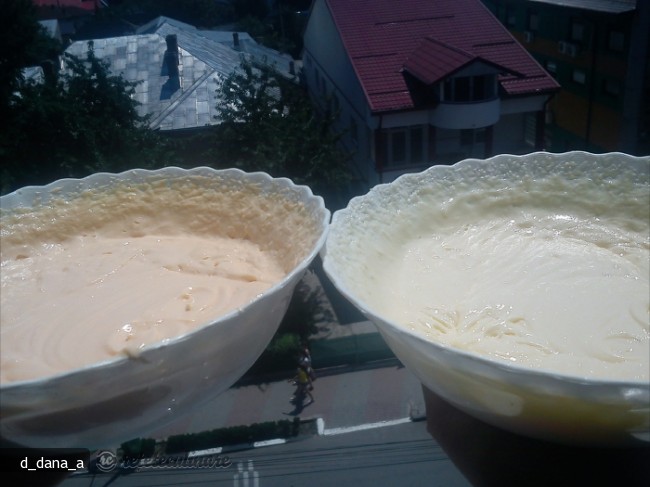 Tort cu Crema de Praf de Inghetata