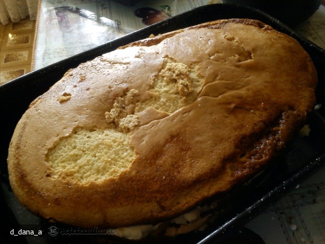 Tort cu Crema de Praf de Inghetata