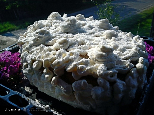 Tort cu Crema de Praf de Inghetata