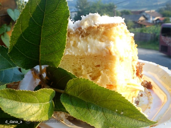 Tort cu Crema de Praf de Inghetata