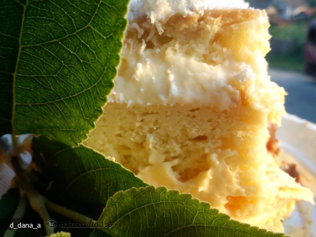 Tort cu Crema de Praf de Inghetata