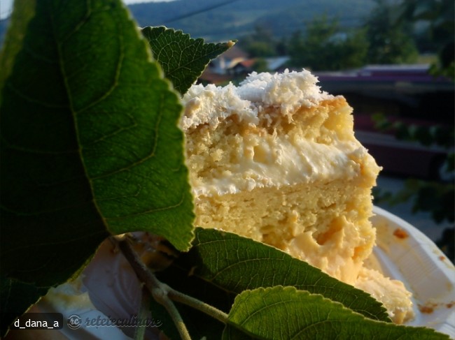 Tort cu Crema de Praf de Inghetata