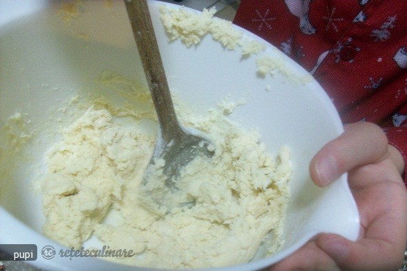 Maxy's Chocolate Chips Cookies (Biscuiti Pentru Maxy)