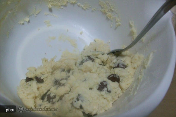 Maxy's Chocolate Chips Cookies (Biscuiti Pentru Maxy)