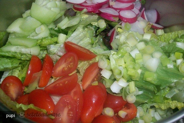 Salata Verde cu Rodie si Piept de Pui Pane